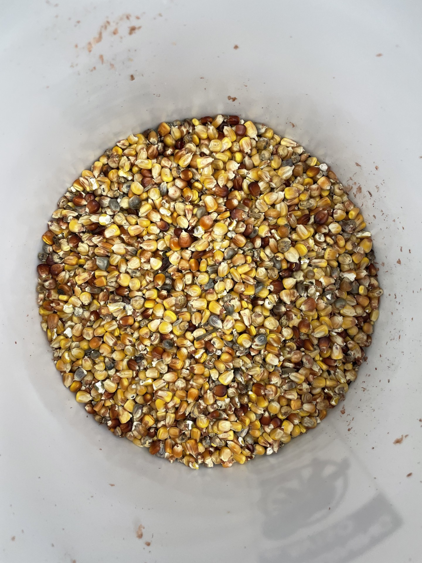 Corn